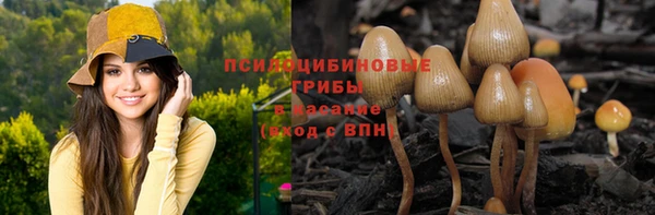спиды Весьегонск