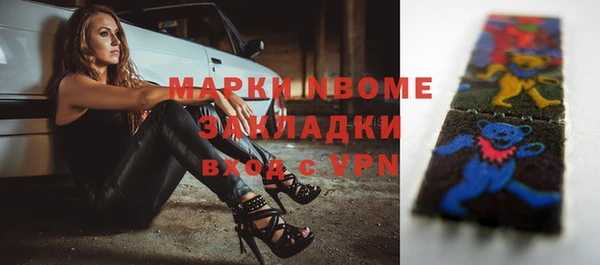 бошки Няндома