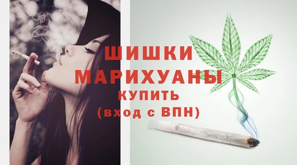 бошки Няндома