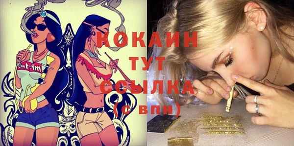 бошки Няндома