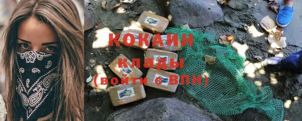 бошки Няндома