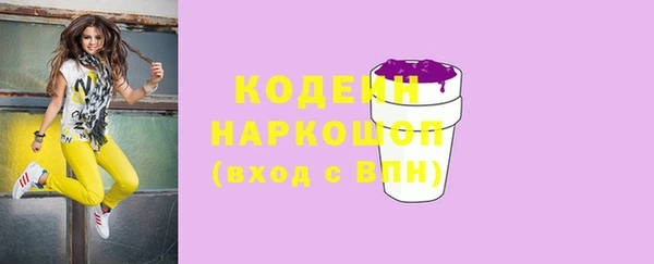 бошки Няндома